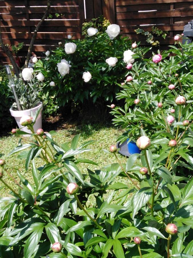 Ferienwohnung Mit Kleinem Garten Sonnenbühl Exteriér fotografie