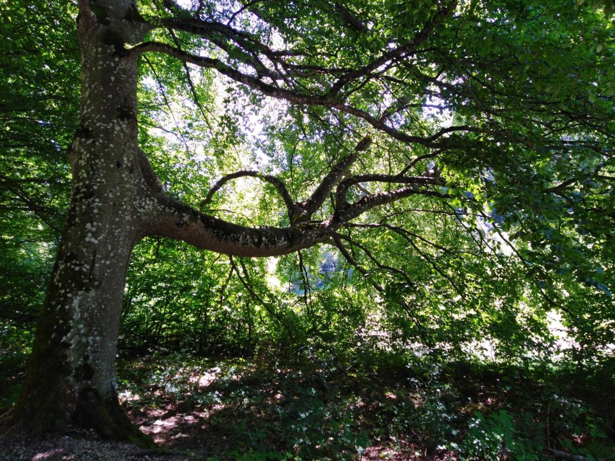 Ferienwohnung Mit Kleinem Garten Sonnenbühl Exteriér fotografie