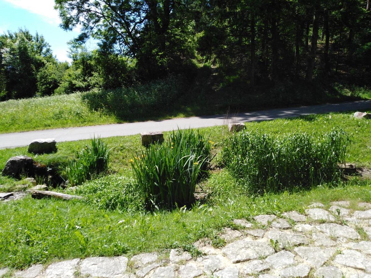 Ferienwohnung Mit Kleinem Garten Sonnenbühl Exteriér fotografie