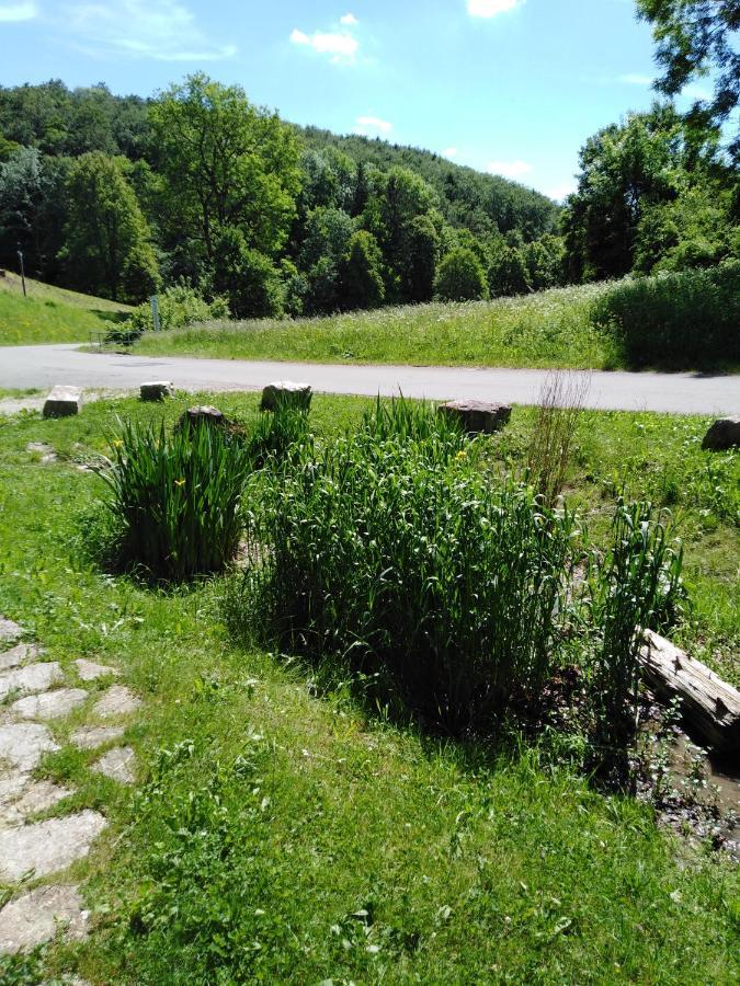 Ferienwohnung Mit Kleinem Garten Sonnenbühl Exteriér fotografie