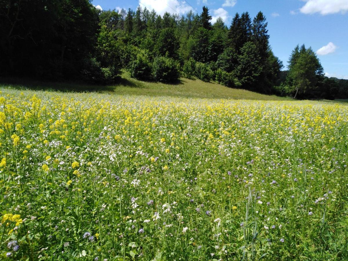 Ferienwohnung Mit Kleinem Garten Sonnenbühl Exteriér fotografie